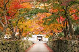 興聖寺,宇治