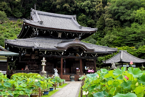 三室戸寺
