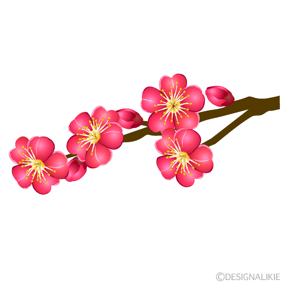 源氏物語,薫,宇治,恋愛