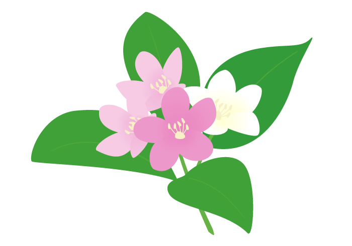 恋愛