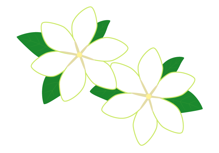 恋愛学,恋愛,心理学